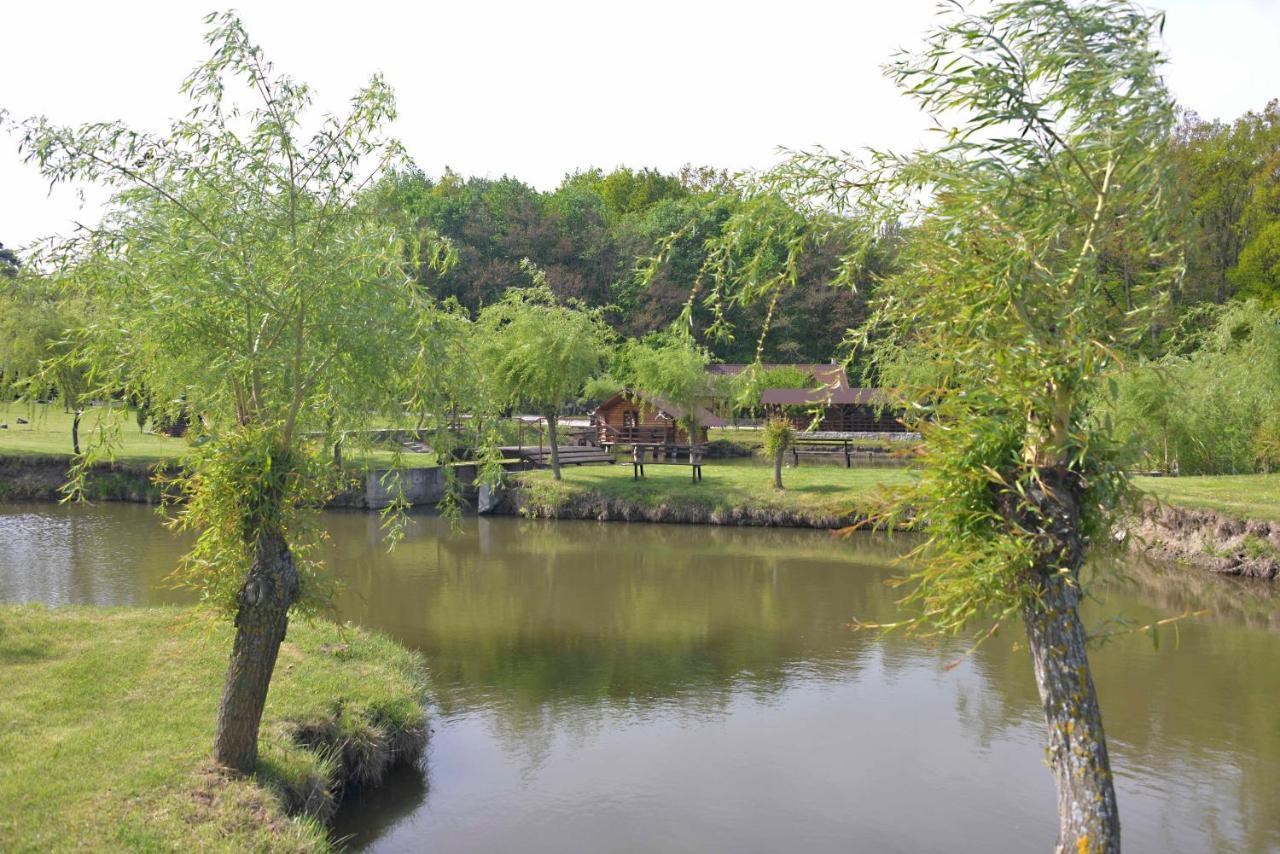 Pensiunea Paradisul Verde Oglinzi Luaran gambar