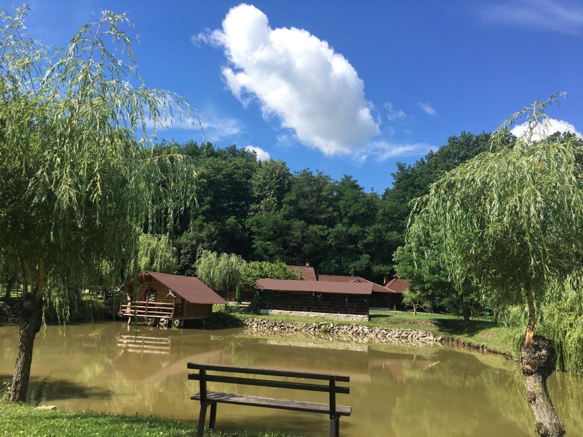 Pensiunea Paradisul Verde Oglinzi Luaran gambar