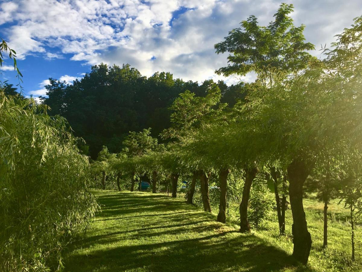 Pensiunea Paradisul Verde Oglinzi Luaran gambar