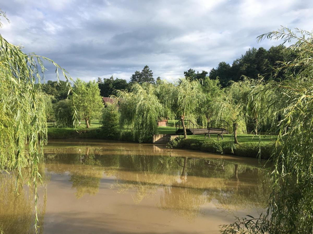 Pensiunea Paradisul Verde Oglinzi Luaran gambar