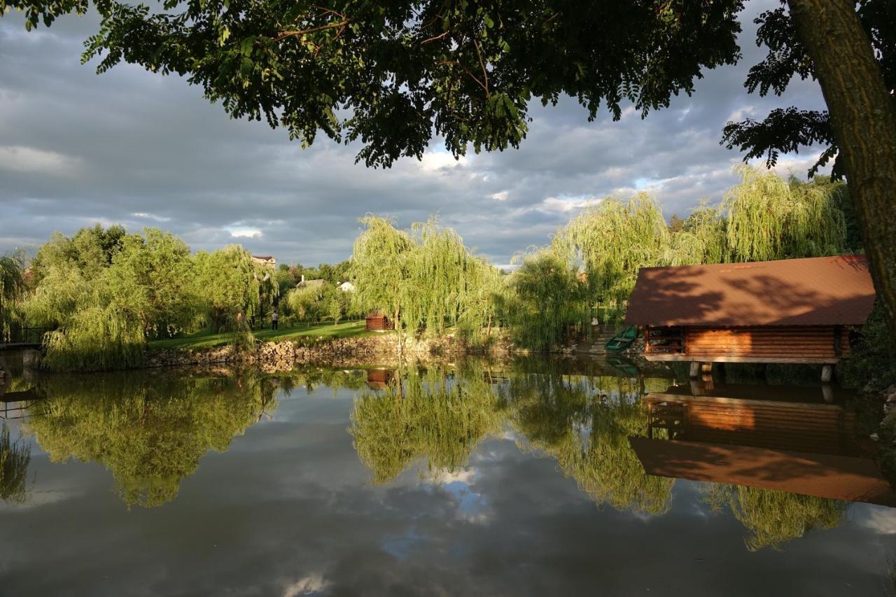 Pensiunea Paradisul Verde Oglinzi Luaran gambar